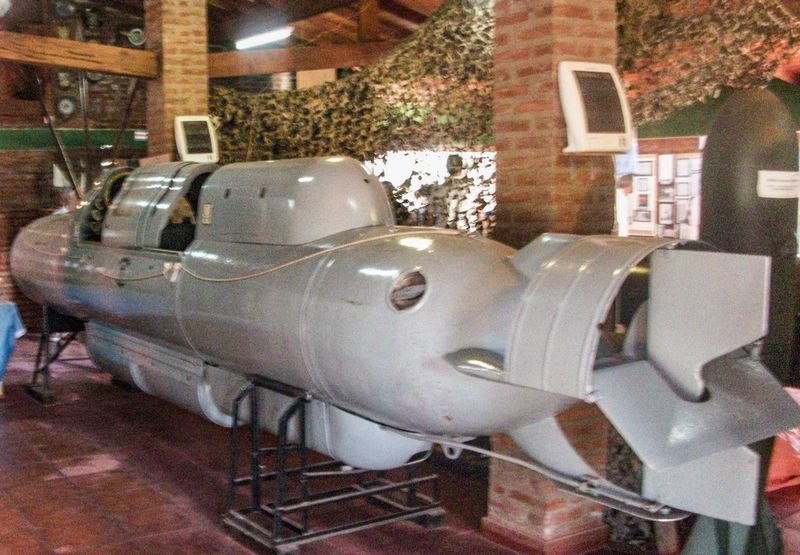 Транспортировщик-торпеда модели CE2F/X100 ВМС Аргентины может работать на глубинах до 100 м.
