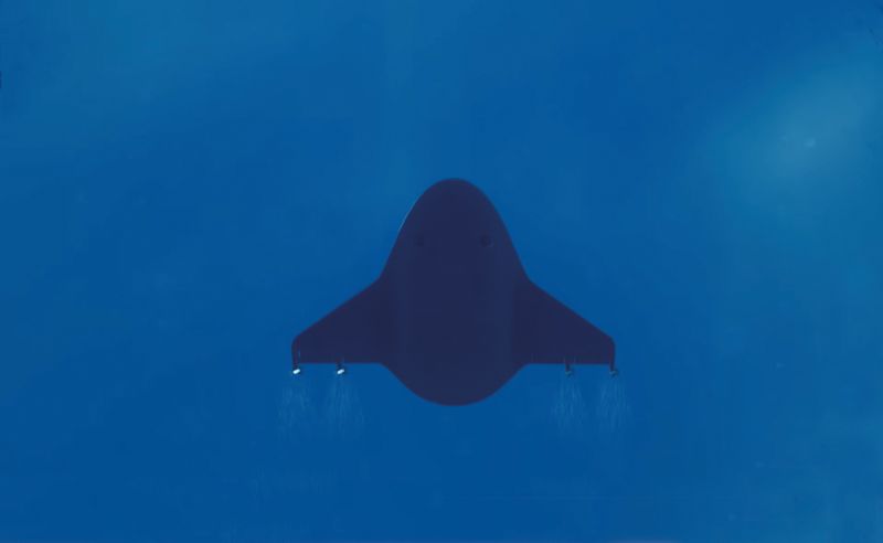  Manta Ray   .